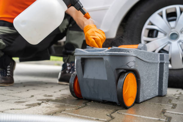 Tree and Shrub Care in Shasta Lake, CA